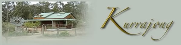 Kurrajong